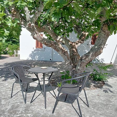 B&B Villa Rosanna Fasano Exteriör bild