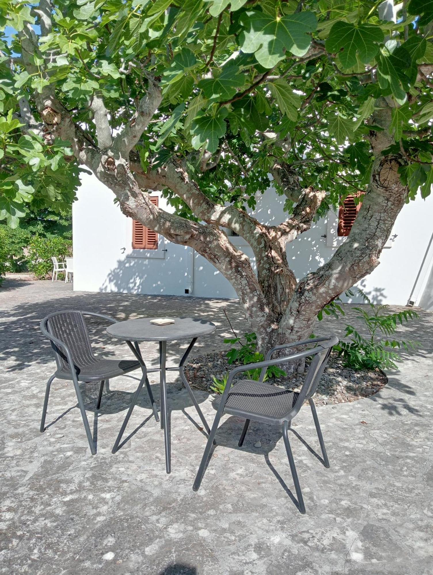 B&B Villa Rosanna Fasano Exteriör bild